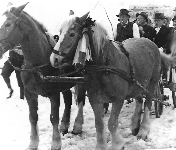 Sulzriegel : Blochziehen 1952